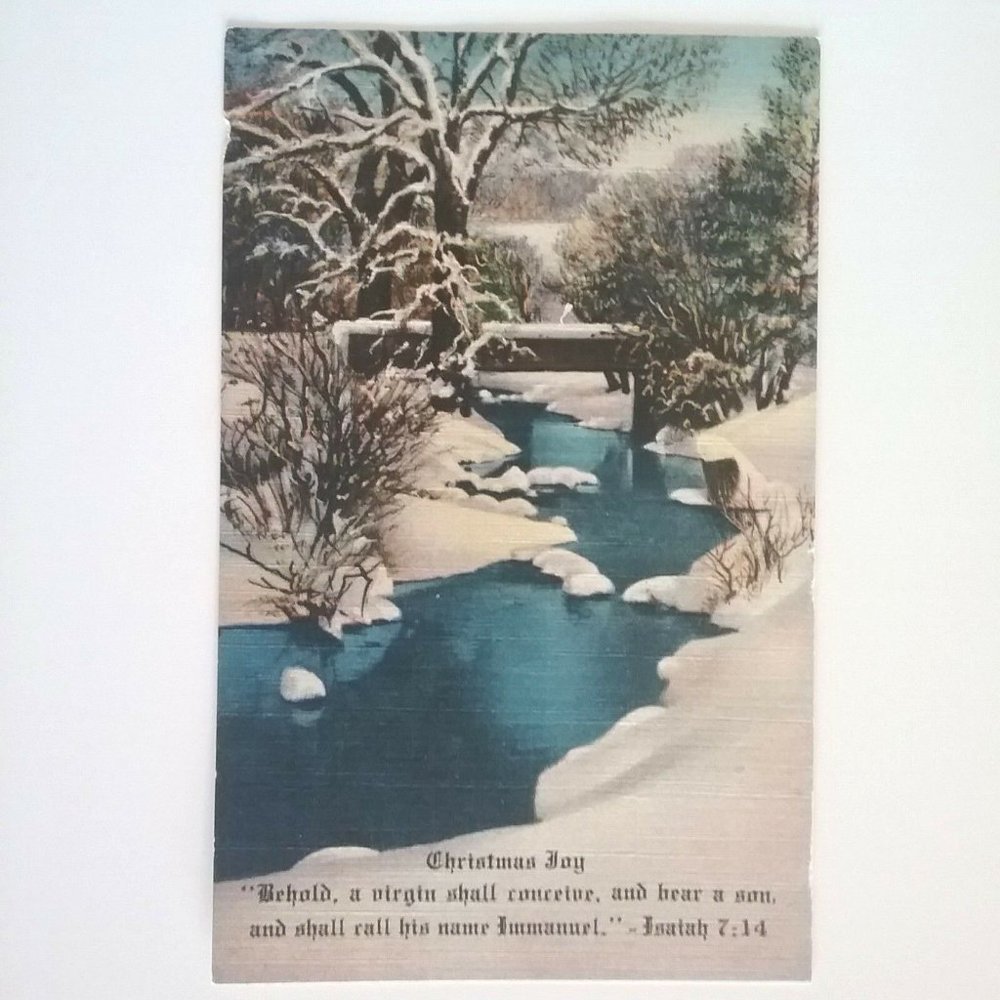 Tichnor Bros Vintage Linen Postcard Christmas Joy WM. H. Dietz Chicago